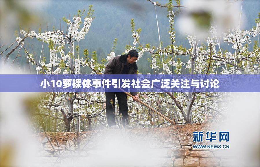 小10萝裸体事件引发社会广泛关注与讨论