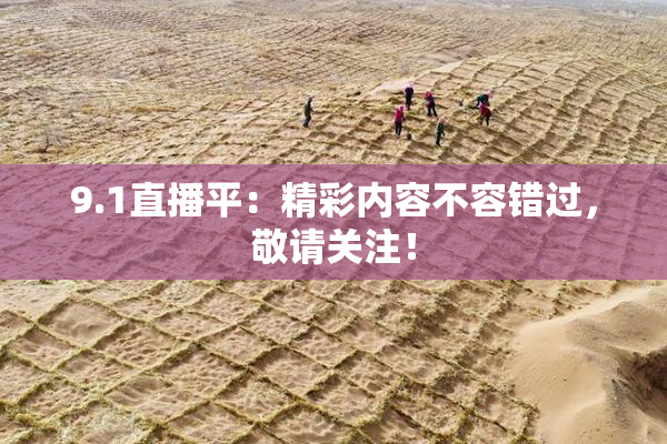 9.1直播平：精彩内容不容错过，敬请关注！