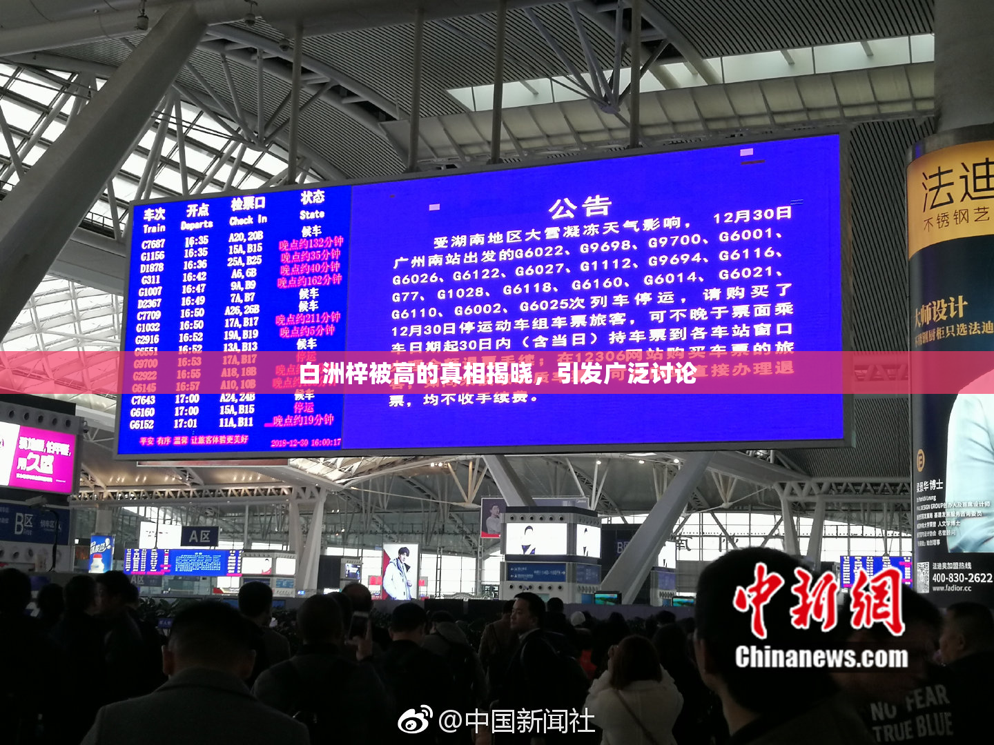 白洲梓被高的真相揭晓，引发广泛讨论