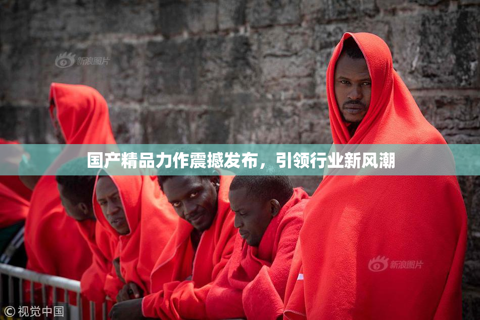 国产精品力作震撼发布，引领行业新风潮