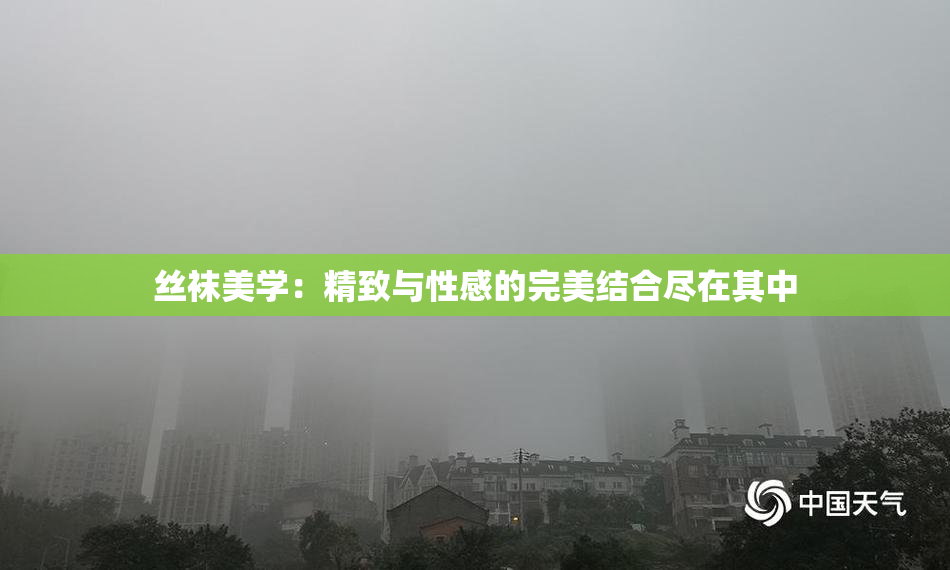 丝袜美学：精致与性感的完美结合尽在其中