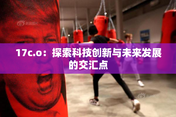 17c.o：探索科技创新与未来发展的交汇点