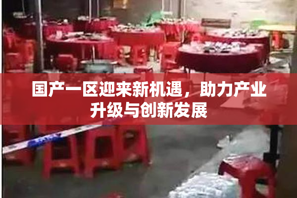 国产一区迎来新机遇，助力产业升级与创新发展