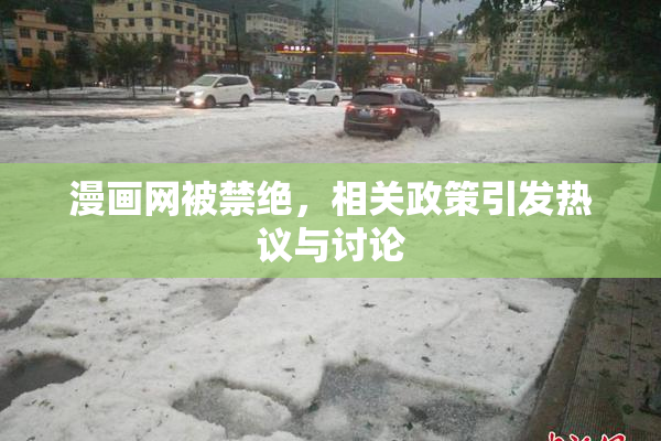 漫画网被禁绝，相关政策引发热议与讨论