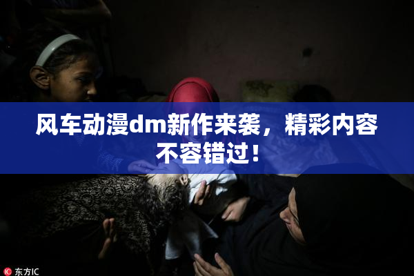风车动漫dm新作来袭，精彩内容不容错过！