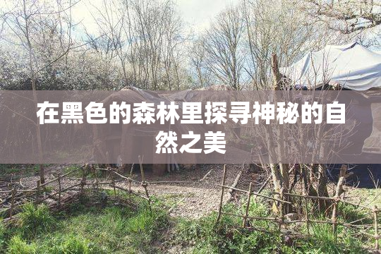 在黑色的森林里探寻神秘的自然之美