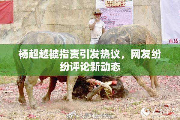 杨超越被指责引发热议，网友纷纷评论新动态