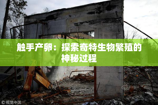 触手产卵：探索奇特生物繁殖的神秘过程