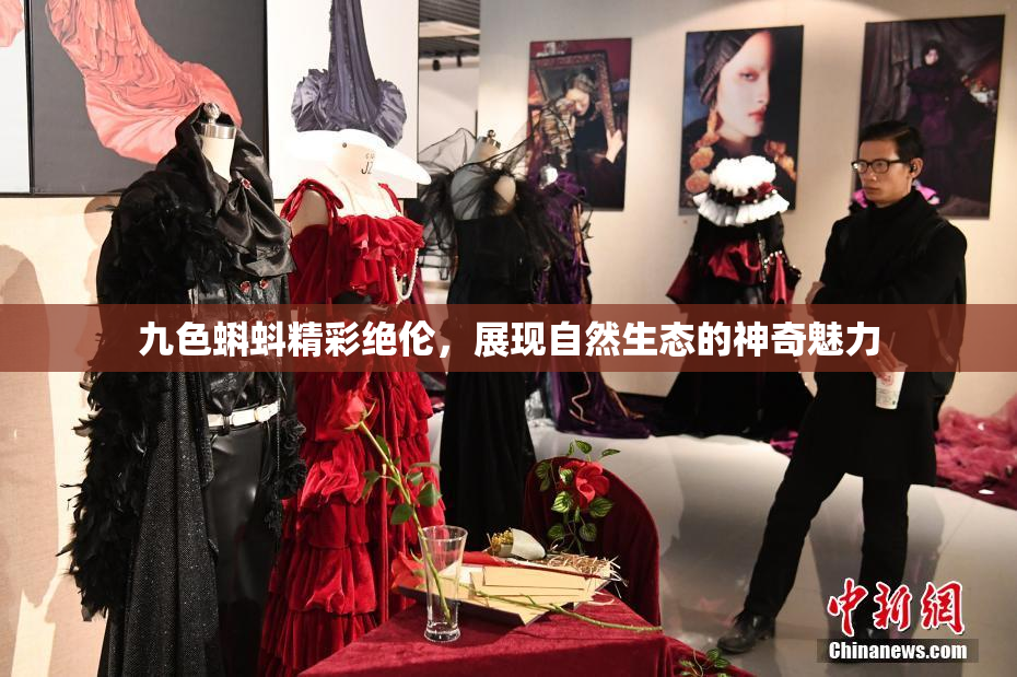 九色蝌蚪精彩绝伦，展现自然生态的神奇魅力