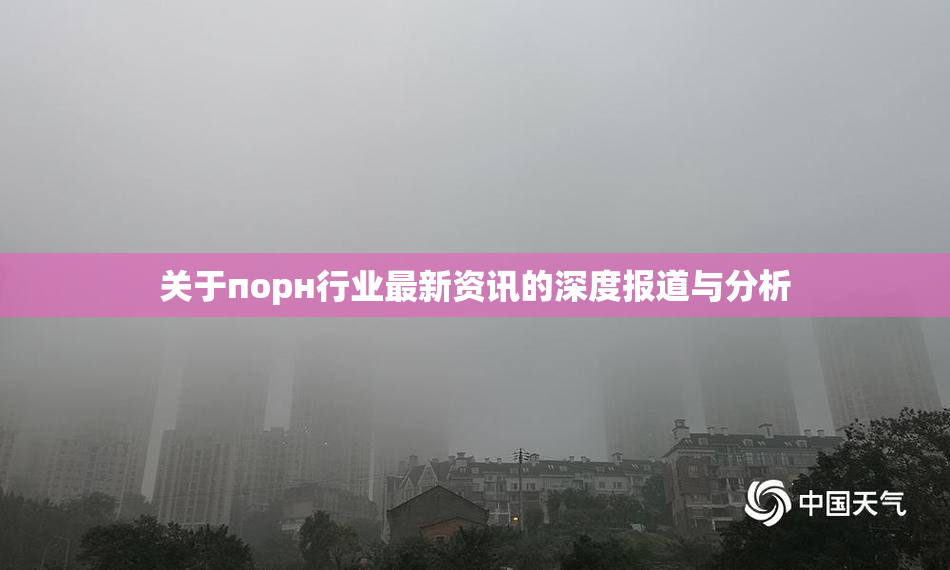 关于порн行业最新资讯的深度报道与分析