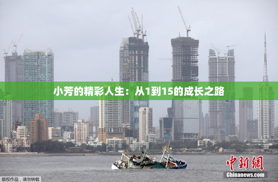 小芳的精彩人生：从1到15的成长之路