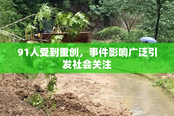 91人受到重创，事件影响广泛引发社会关注