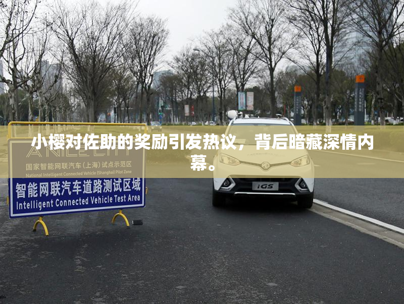 小樱对佐助的奖励引发热议，背后暗藏深情内幕。