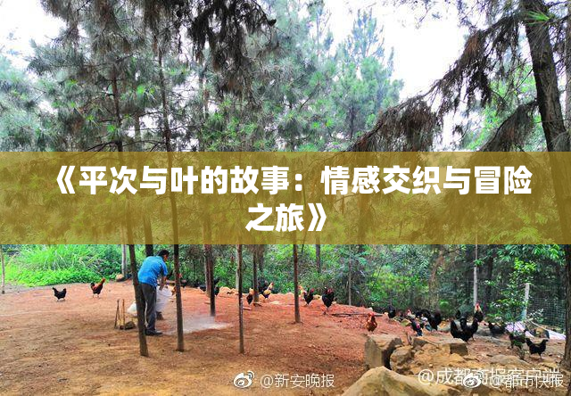 《平次与叶的故事：情感交织与冒险之旅》