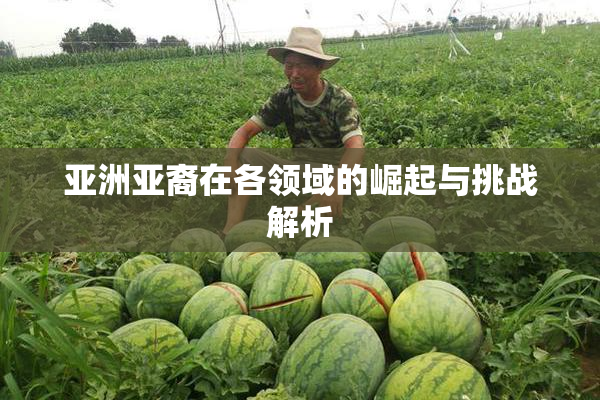 亚洲亚裔在各领域的崛起与挑战解析