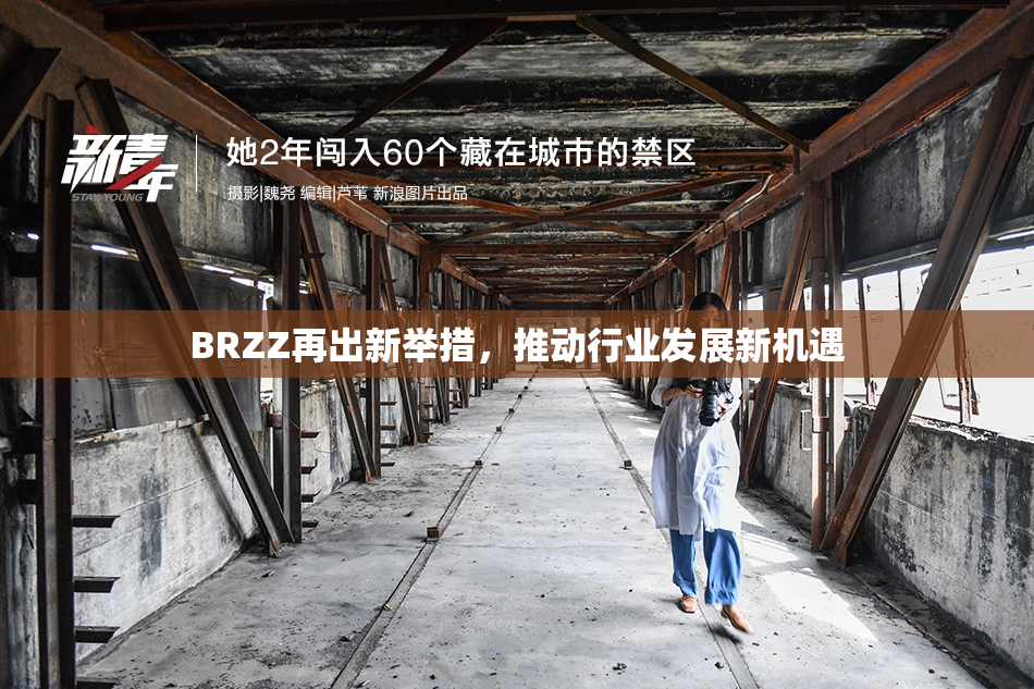BRZZ再出新举措，推动行业发展新机遇