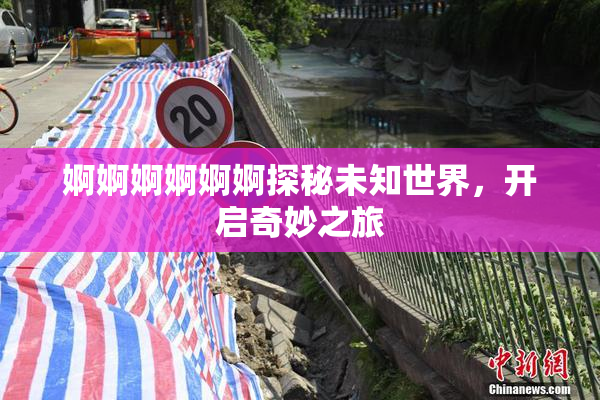 婀婀婀婀婀婀探秘未知世界，开启奇妙之旅