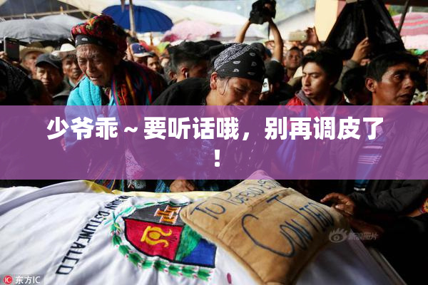 少爷乖～要听话哦，别再调皮了！