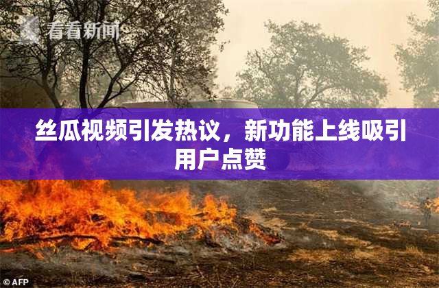 丝瓜视频引发热议，新功能上线吸引用户点赞