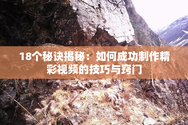 18个秘诀揭秘：如何成功制作精彩视频的技巧与窍门