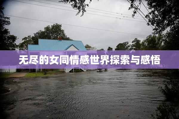 无尽的女同情感世界探索与感悟