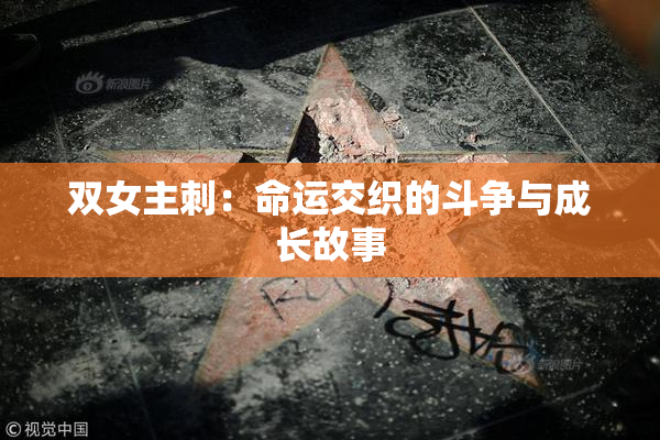 双女主刺：命运交织的斗争与成长故事