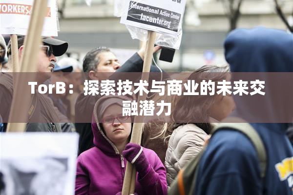 TorB：探索技术与商业的未来交融潜力