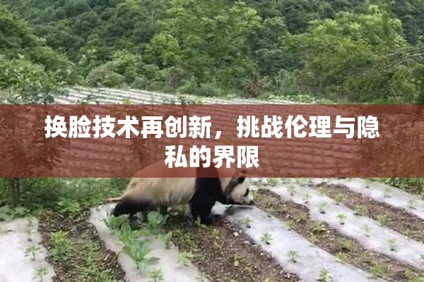 换脸技术再创新，挑战伦理与隐私的界限