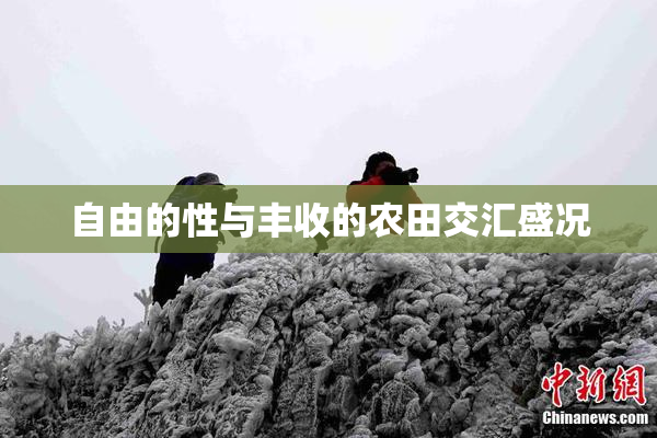 自由的性与丰收的农田交汇盛况
