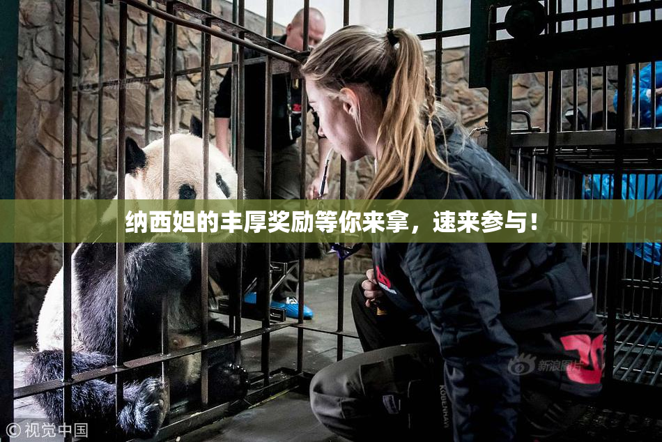 纳西妲的丰厚奖励等你来拿，速来参与！