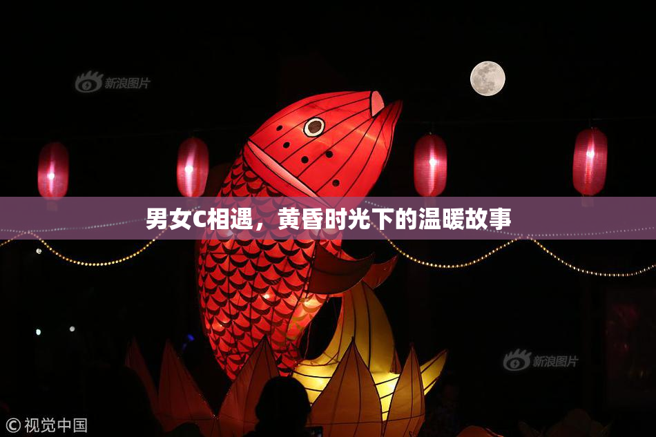 男女C相遇，黄昏时光下的温暖故事