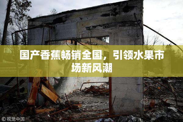 国产香蕉畅销全国，引领水果市场新风潮