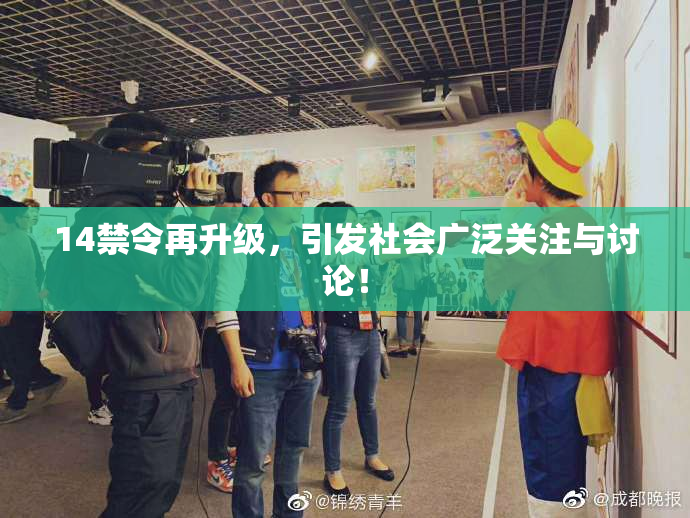 14禁令再升级，引发社会广泛关注与讨论！