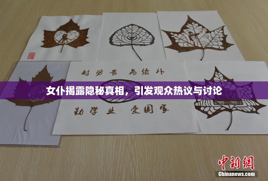 女仆揭露隐秘真相，引发观众热议与讨论