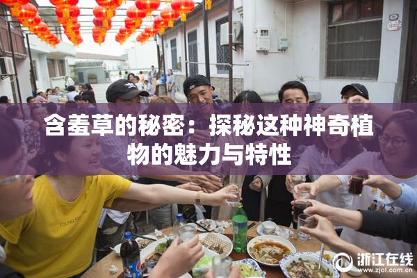 含羞草的秘密：探秘这种神奇植物的魅力与特性
