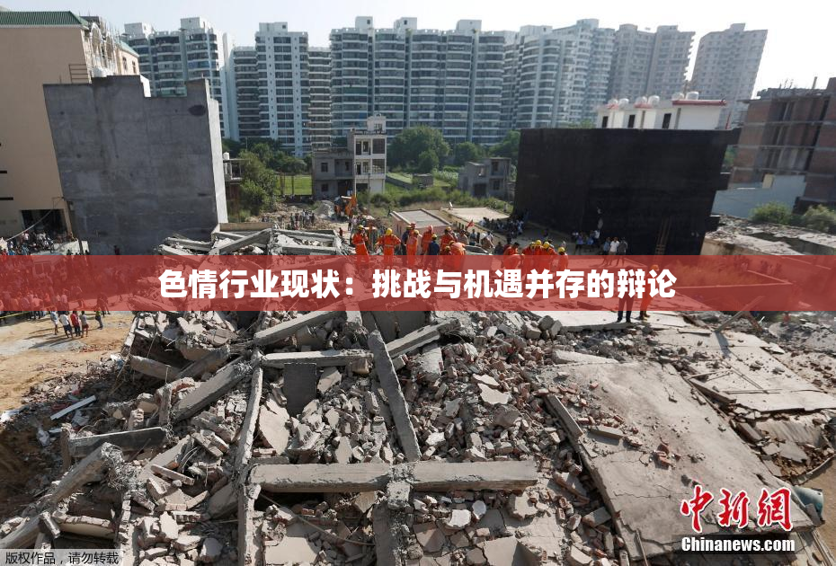色情行业现状：挑战与机遇并存的辩论