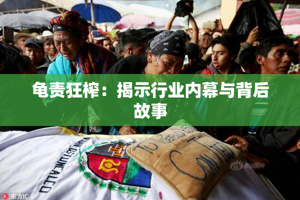 龟责狂榨：揭示行业内幕与背后故事
