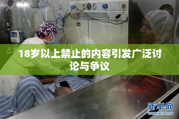 18岁以上禁止的内容引发广泛讨论与争议