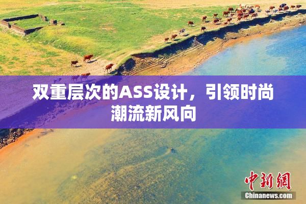 双重层次的ASS设计，引领时尚潮流新风向