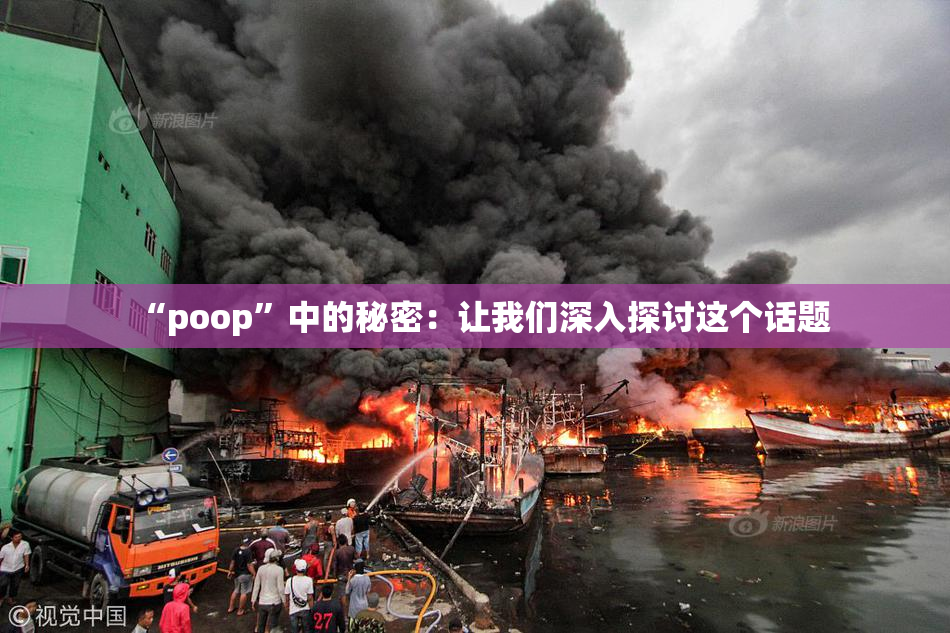 “poop”中的秘密：让我们深入探讨这个话题