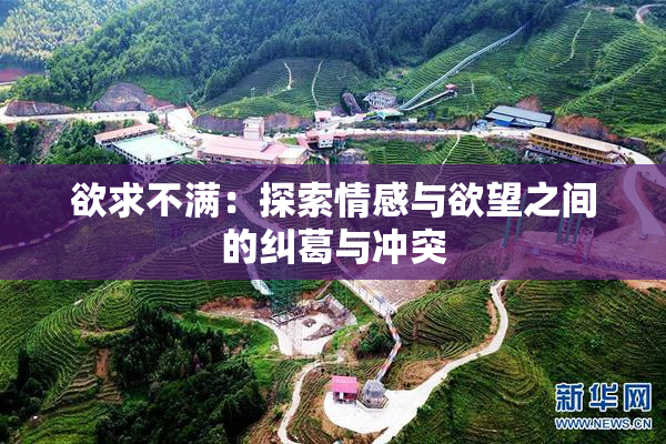 欲求不满：探索情感与欲望之间的纠葛与冲突