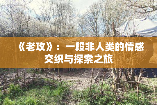 《老攻》：一段非人类的情感交织与探索之旅