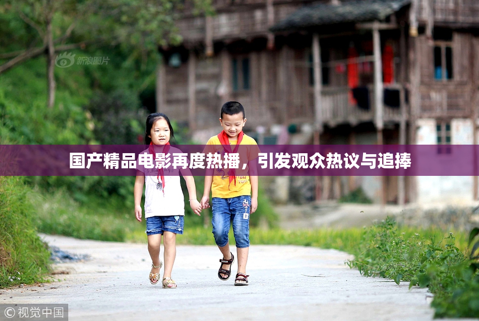 国产精品电影再度热播，引发观众热议与追捧