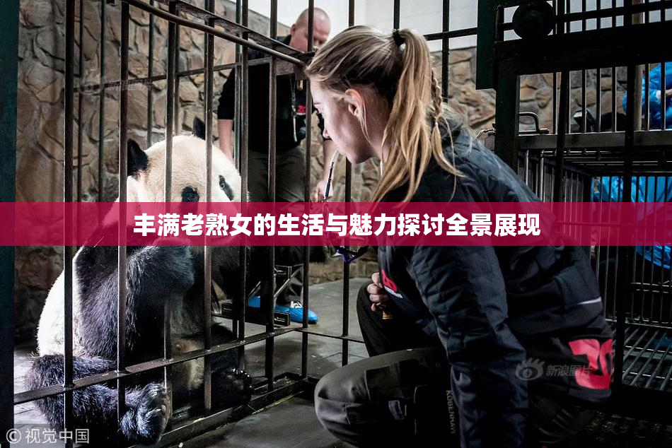 丰满老熟女的生活与魅力探讨全景展现