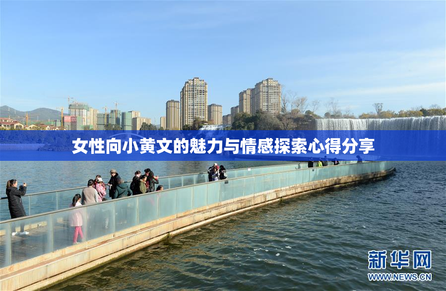 女性向小黄文的魅力与情感探索心得分享