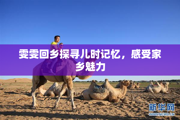 雯雯回乡探寻儿时记忆，感受家乡魅力