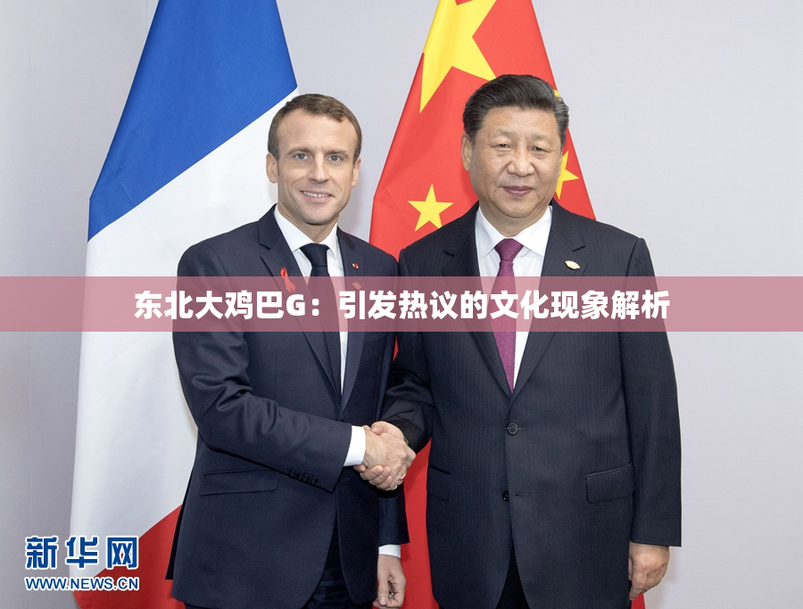 东北大鸡巴G：引发热议的文化现象解析