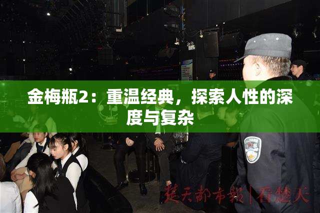金梅瓶2：重温经典，探索人性的深度与复杂