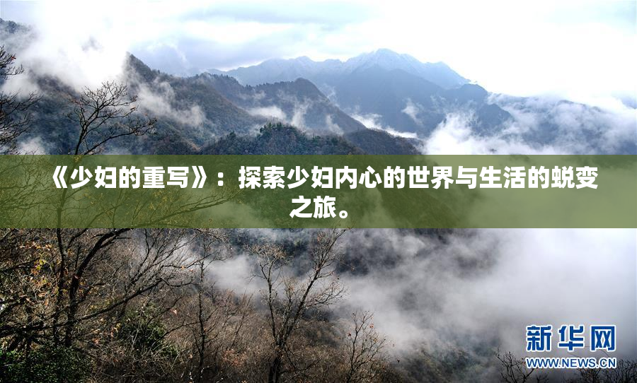 《少妇的重写》：探索少妇内心的世界与生活的蜕变之旅。