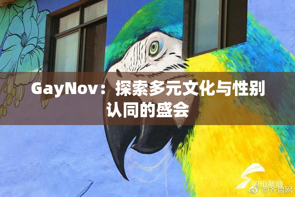 GayNov：探索多元文化与性别认同的盛会